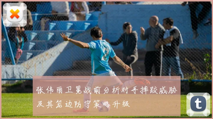 张伟丽卫冕战前分析对手摔跤威胁及其笼边防守策略升级