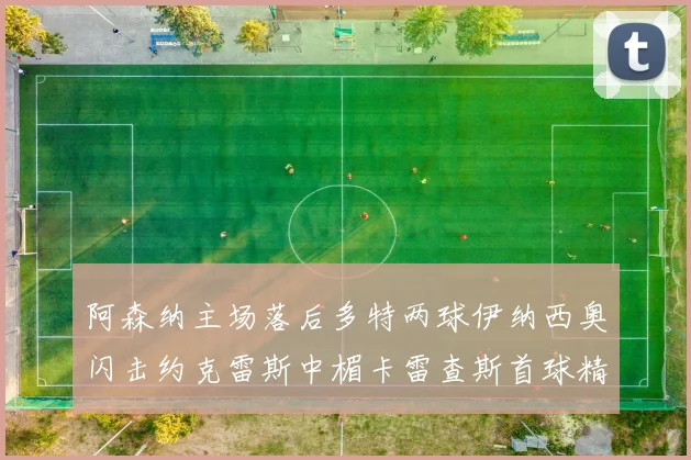 阿森纳主场落后多特两球伊纳西奥闪击约克雷斯中楣卡雷查斯首球精彩回顾